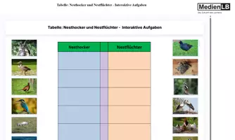 Vorschau - Präsentationen/Tafelbilder - Nesthocker und Nestflüchter - Interaktiv-H5P/Moodle/HTML - Deckblatt