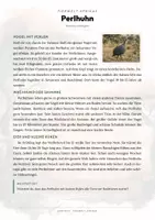Vorschau - Arbeitsblätter - Perlhuhn Steckbrief – Lesetext, Lückentext, Weltkarte & Arbeitsblatt - Seite 1