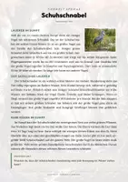 Vorschau - Arbeitsblätter - Schuhschnabel Steckbrief – Lesetext, Lückentext, Weltkarte & Arbeitsblatt - Seite 1