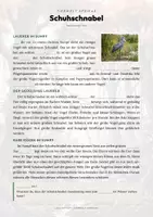 Vorschau - Arbeitsblätter - Schuhschnabel Steckbrief – Lesetext, Lückentext, Weltkarte & Arbeitsblatt - Seite 2