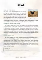 Vorschau - Arbeitsblätter - Strauß Steckbrief – Lesetext, Lückentext, Weltkarte & Arbeitsblatt - Seite 1