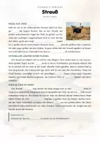 Vorschau - Arbeitsblätter - Strauß Steckbrief – Lesetext, Lückentext, Weltkarte & Arbeitsblatt - Seite 2