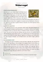Vorschau - Arbeitsblätter - Webervogel Steckbrief – Lesetext, Lückentext, Weltkarte & Arbeitsblatt - Seite 1
