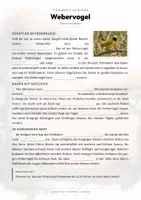 Vorschau - Arbeitsblätter - Webervogel Steckbrief – Lesetext, Lückentext, Weltkarte & Arbeitsblatt - Seite 2