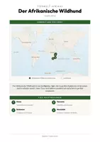 Vorschau - Arbeitsblätter - Afrikanischer Wildhund Steckbrief – Lesetext, Lückentext, Weltkarte & Arbeitsblatt - Seite 3