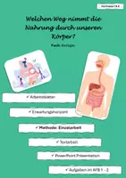 Vorschau - Arbeitsblätter - Welchen Weg nimmt die Nahrung durch unseren Körper? - Deckblatt