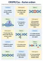 Vorschau - Arbeitsblätter - Gentransfer verstehen – Gene mit Plasmiden und CRISPR/Cas übertragen - Seite 3