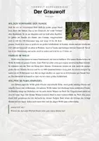 Vorschau - Arbeitsblätter - Grauwolf Steckbrief – Lesetext, Lückentext, Weltkarte & Arbeitsblatt - Seite 1