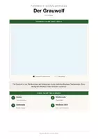 Vorschau - Arbeitsblätter - Grauwolf Steckbrief – Lesetext, Lückentext, Weltkarte & Arbeitsblatt - Seite 3