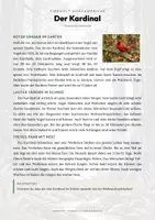 Vorschau - Arbeitsblätter - Kardinal Steckbrief – Lesetext, Lückentext, Weltkarte & Arbeitsblatt - Seite 1