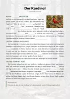Vorschau - Arbeitsblätter - Kardinal Steckbrief – Lesetext, Lückentext, Weltkarte & Arbeitsblatt - Seite 2