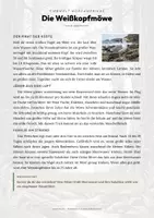 Vorschau - Arbeitsblätter - Weißkopfmöwe Steckbrief – Lesetext, Lückentext, Weltkarte & Arbeitsblatt - Seite 1
