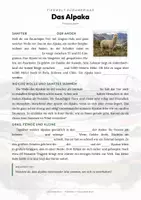 Vorschau - Arbeitsblätter - Alpaka Steckbrief – Lesetext, Lückentext, Weltkarte & Arbeitsblatt - Seite 2