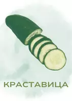 предварителен преглед - ФЛАШ КАРТИ ЗЕЛЕНЧУЦИ - Страница 2