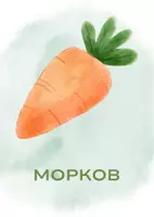 предварителен преглед - ФЛАШ КАРТИ ЗЕЛЕНЧУЦИ - Страница 3