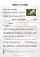 Vorschau - Arbeitsblätter - Feenseeschwalbe Steckbrief – Lesetext, Lückentext, Weltkarte & Arbeitsblatt - Seite 2