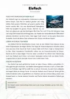 Vorschau - Arbeitsblätter - Eisfisch Steckbrief – Lesetext, Lückentext, Weltkarte & Arbeitsblatt - Seite 1