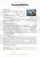 Vorschau - Arbeitsblätter - Vögel der Welt – 66 Tier-Steckbriefe – Sachunterricht Grundschule – Materialpaket - Seite 2
