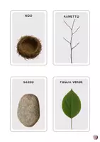 anteprima - Flashcard - 🌾🪹IL KIT DELL'ESPLORATORE: carte, check-list, tombola - Pagina 3