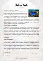Vorschau - Arbeitsblätter - Doktorfisch Steckbrief – Lesetext, Lückentext, Weltkarte & Arbeitsblatt - Seite 1