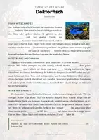Vorschau - Arbeitsblätter - Doktorfisch Steckbrief – Lesetext, Lückentext, Weltkarte & Arbeitsblatt - Seite 2