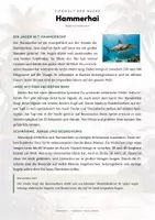 Vorschau - Arbeitsblätter - Hammerhai Steckbrief – Lesetext, Lückentext, Weltkarte & Arbeitsblatt - Seite 1