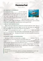 Vorschau - Arbeitsblätter - Hammerhai Steckbrief – Lesetext, Lückentext, Weltkarte & Arbeitsblatt - Seite 2