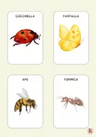 anteprima - Flashcard - il Kit dell'esploratore: flashcads, tombola, check-list - Pagina 1