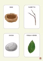 anteprima - Flashcard - il Kit dell'esploratore: flashcads, tombola, check-list - Pagina 3