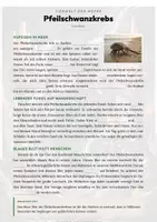 Vorschau - Arbeitsblätter - Pfeilschwanzkrebs Steckbrief – Lesetext, Lückentext, Weltkarte & Arbeitsblatt - Seite 2