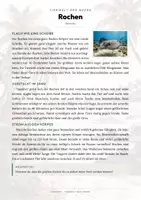 Vorschau - Arbeitsblätter - Rochen Steckbrief – Lesetext, Lückentext, Weltkarte & Arbeitsblatt - Seite 1