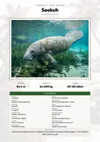 Vorschau - Arbeitsblätter - Seekuh Steckbrief – Lesetext, Lückentext, Weltkarte & Arbeitsblatt - Deckblatt