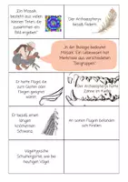 Vorschau - Arbeitsblätter - Mystery: Das Rätsel des Archaeopteryx – Mosaikform & Beleg für Evolution (Kärtchen-Cluster) - Seite 3