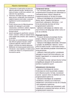 Vista previa - Hojas de trabajo - Coneixem i produïm diferents tipologies textuals Cicle Superior - página 2