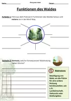 Vorschau - Arbeitsblätter - Materialpaket: Funktionen des Waldes & Waldrodung (inkl. Präsi, Sprinter, Podcast, Lösungen) - Seite 1