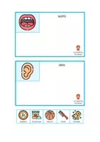Vista previa - Unidades / Secuencias / Situaciones de Aprendizaje - LOS SENTIDOS - MATERIAL MANIPULATIVO - página 2