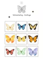 Vorschau - Arbeitsblätter - Schmetterling Zwillinge - Seite 1