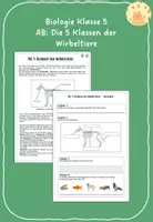 Vorschau - Arbeitsblätter - AB: Die 5 Klassen der Wirbeltiere (differenziert) - Deckblatt