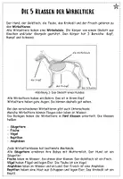 Vorschau - Arbeitsblätter - AB: Die 5 Klassen der Wirbeltiere (differenziert) - Seite 3