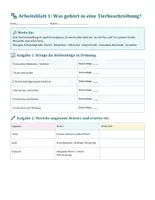 Vorschau - Stundenentwürfe - Tierbeschreibung (inkl. Lösung / Erwartungshorizont) - Seite 2