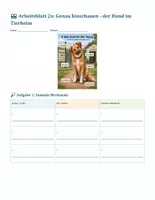 Vorschau - Stundenentwürfe - Tierbeschreibung (inkl. Lösung / Erwartungshorizont) - Seite 3