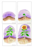 Vorschau - Bildkarten - Wachsen & Wohlfühlen 🌱 Handgezeichnete Symbole zur Lernreflexion - Seite 3