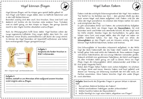 Vorschau - Arbeitsblätter - Lerntheke "Vögel" - 8 Arbeitsblätter - Seite 3