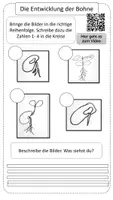 Vorschau - Unterrichtsreihen - Wachsendes Materialpaket die Bohne - Seite 2