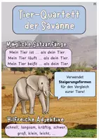 Vorschau - Spiele - Tierquartett (Tiere der Savanne) - Seite 2