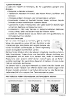 Vorschau - Arbeitsblätter - Ferienjobs (Sachtext mit Aufgaben) - Seite 2