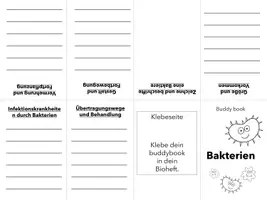 Vorschau - Arbeitsblätter - Buddybooks Viren Bakterien - Seite 1
