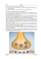Vorschau - Arbeitsblätter - Alkoholwirkung an den Synapsen - Biologie 9./10. Klasse - Seite 1