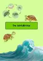 Vorschau - Arbeitsblätter - Haustier - Schildkröte (Steckbrief und Kreislauf) - Deckblatt
