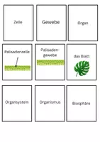 Vorschau - Arbeitsblätter - Zuordnungsspiel: Systemebenen - Deckblatt